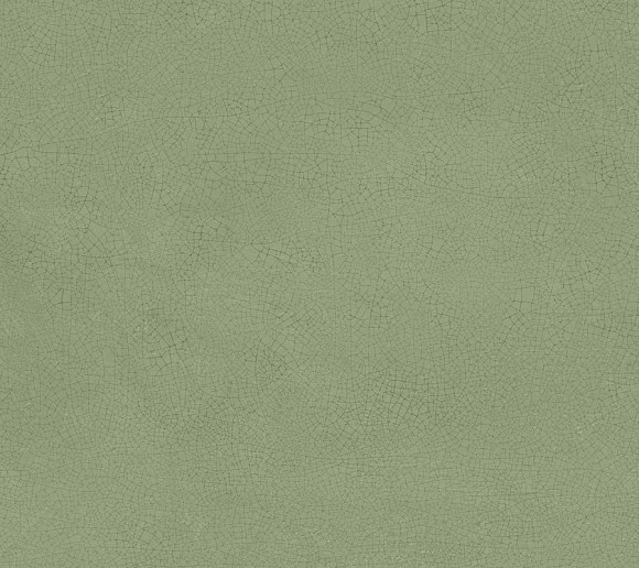 Плитка Vivia Crelis Light Green 50x120 Lucido (HHIY)