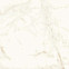 Керамогранит Marvel Calacatta Delicato 120x120 Matt (A4Q4) 