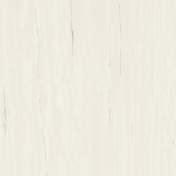 Керамогранит Marvel Bianco Dolomite 120x120 (A204) 