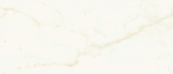 Плитка Marvel Calacatta Delicato 50x120 Silk (A4TT) 