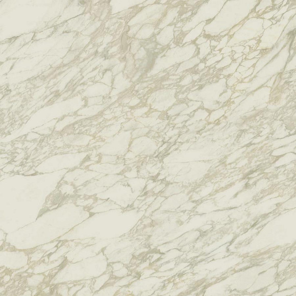 Керамогранит Marvel Royal Calacatta 120x120 Lappato (AENP) 