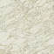 Керамогранит Marvel Royal Calacatta 120x120 Lappato (AENP) 