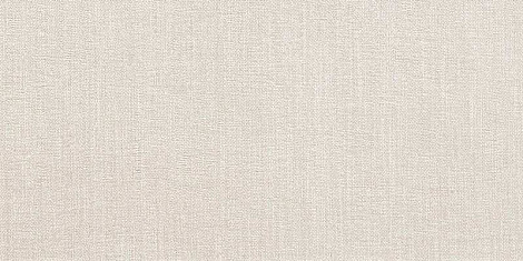 Room White 30x60 (D124) Керамогранит