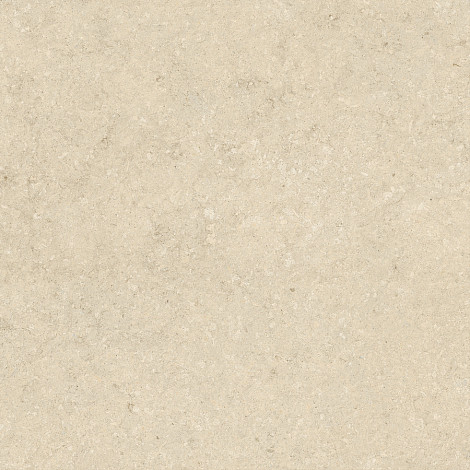 Керамогранит Nyra Utopia Acacia 120x120 (HGFN)