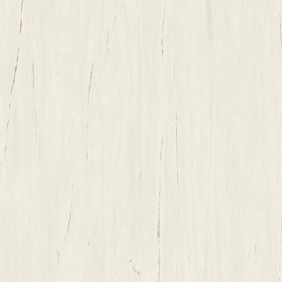 Керамогранит Marvel Bianco Dolomite 120x120 (A204) 