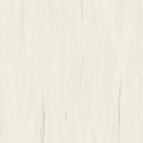 Керамогранит Marvel Bianco Dolomite 120x120 (A204) 