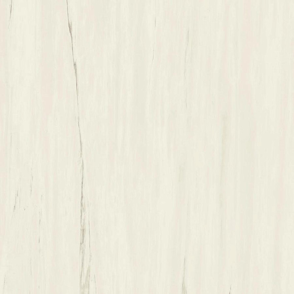 Керамогранит Marvel Bianco Dolomite 120x120 Lappato (AZTT) 