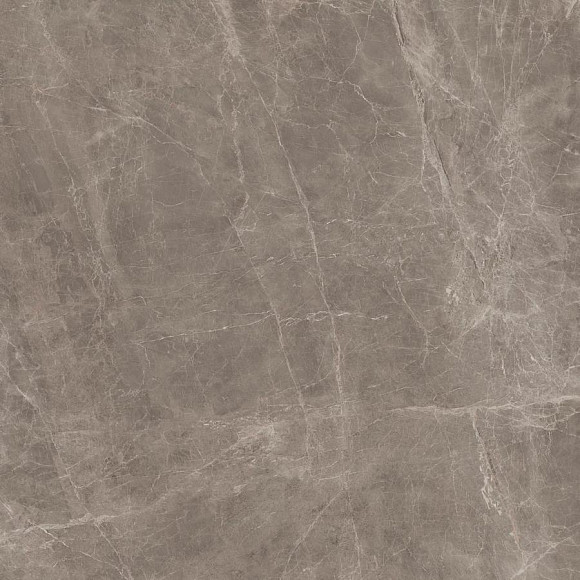 Керамогранит Marvel Gris Supreme 120x120 Lappato (AENN) 