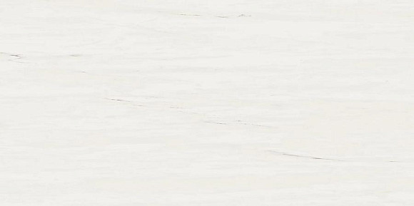 Плитка Marvel Bianco Dolomite 40x80 (9MSB) 
