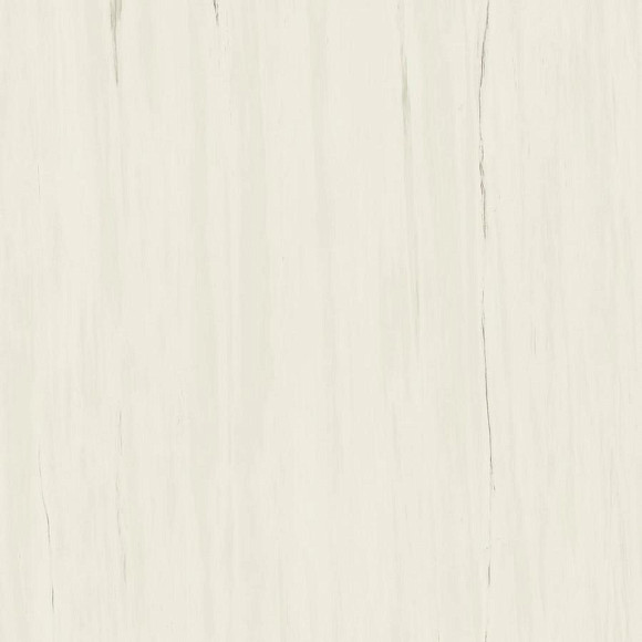 Керамогранит Marvel Bianco Dolomite 120x120 Lappato (AZTT) 