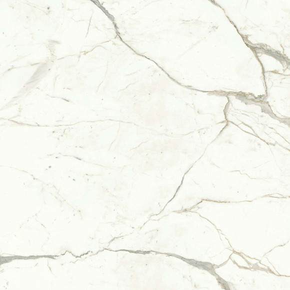 Керамогранит Marvel Calacatta Prestigio 120x120 Lappato (A4Q9) 