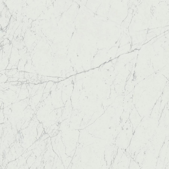Керамогранит Marvel Carrara Pure 120x120 (A207) 