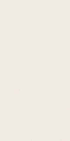 Керамогранит Absolute White Matte 160x320