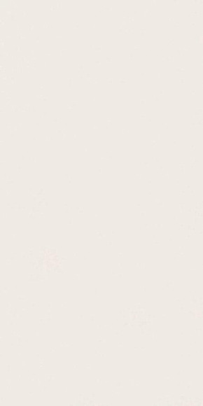Керамогранит Absolute White Matte 160x320
