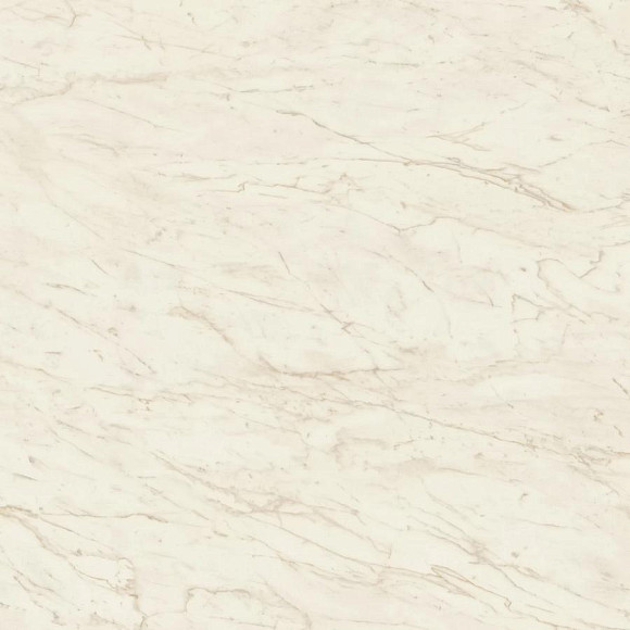 Керамогранит Marvel Cremo Delicato 120x120 Matt (A206) 