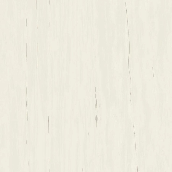Керамогранит Marvel Bianco Dolomite 120x120 (A204) 