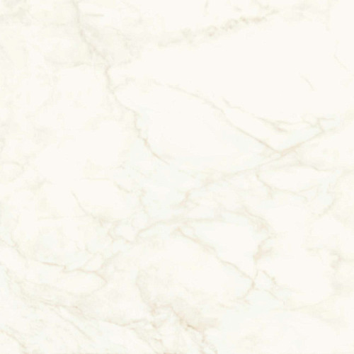 Marvel Calacatta Delicato 120x120 Lappato (A4Q8) Керамогранит
