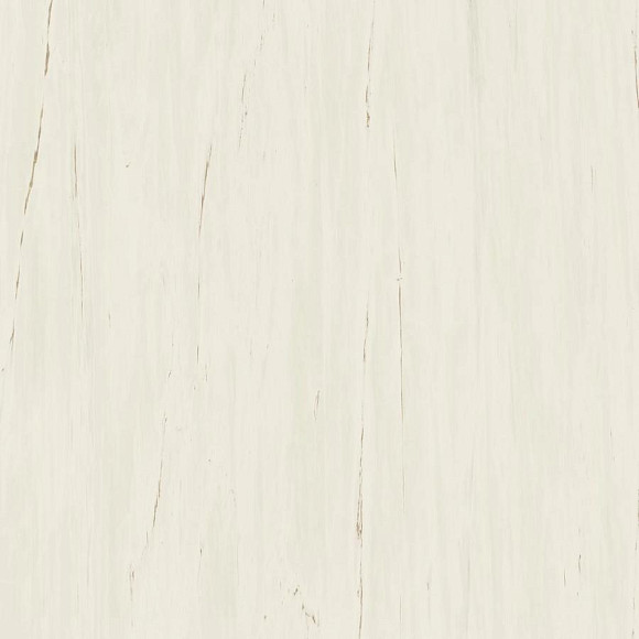 Керамогранит Marvel Bianco Dolomite 120x120 Lappato (AZTT) 