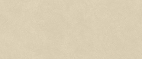 Плитка Boost Natural Pro Oat 50x120 (AQ6O)