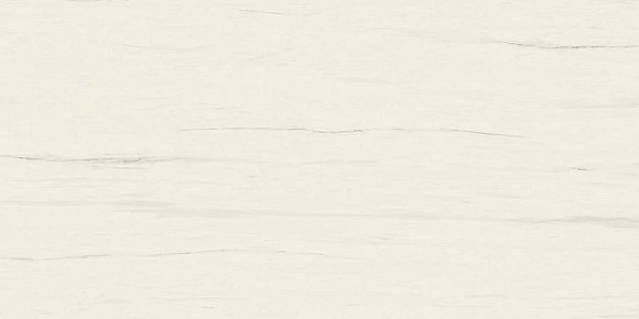 Керамогранит Marvel Bianco Dolomite 160x160RT Lappato (AO53) 