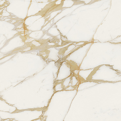 Керамогранит Marvel Next Calacatta Oro 120x120 (HGJA)