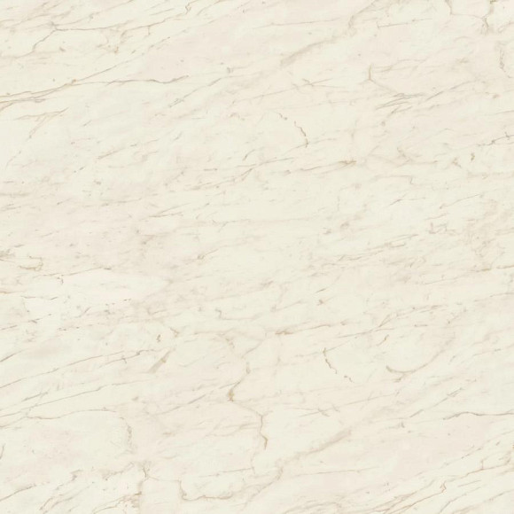 Керамогранит Marvel Cremo Delicato 120x120 Matt (A206) 