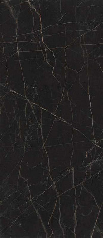 Absolute Black Silk - 12mm ST (A23J) Керамогранит