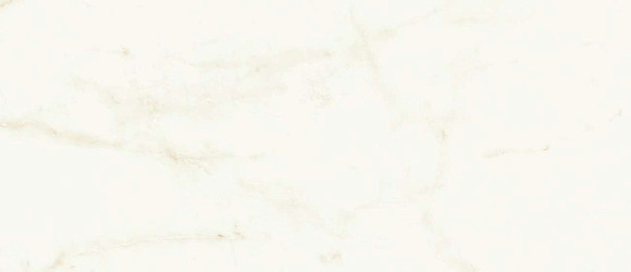 Плитка Marvel Calacatta Delicato 50x120 Silk (A4TT) 
