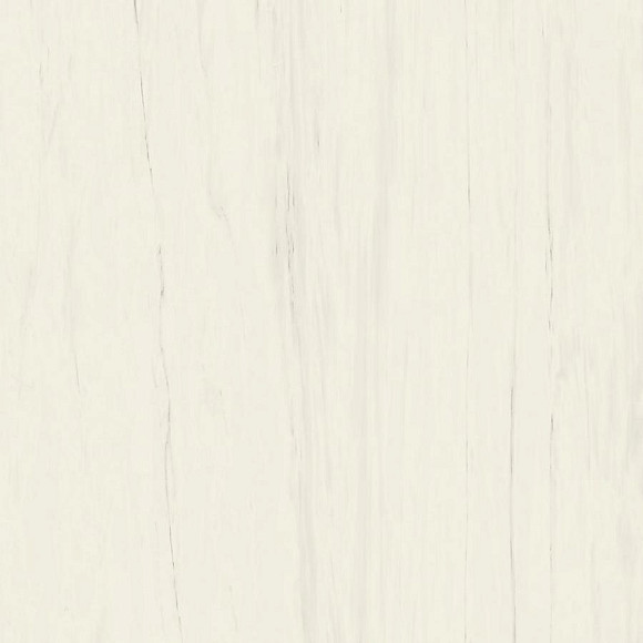Керамогранит Marvel Bianco Dolomite 160x160RT Lappato (AO53) 