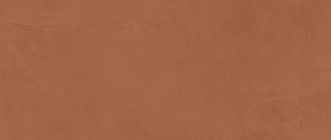 Плитка Prism Caramel 50x120 (A4TL) 