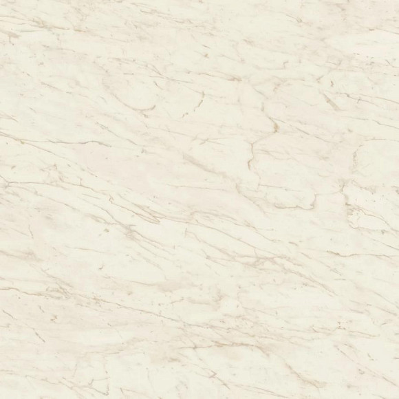 Керамогранит Marvel Cremo Delicato 120x120 Matt (A206) 