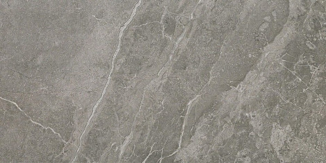 Marvel Grey Fleury 45x90 (ADKZ) Керамогранит