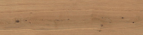 Керамогранит Log Deep Oak Forest 30x120 - 20mm 