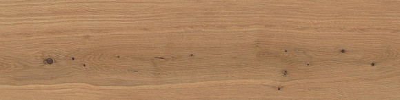 Керамогранит Log Deep Oak Forest 30x120 - 20mm 