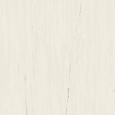 Керамогранит Marvel Bianco Dolomite 120x120 (A204) 