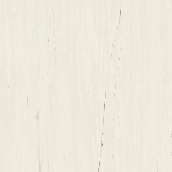 Керамогранит Marvel Bianco Dolomite 120x120 (A204) 