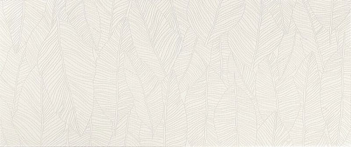 Aplomb White Leaf 50x120 (A6FC) Керамическая плитка