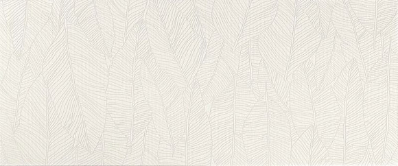 Плитка Aplomb White Leaf 50x120 (A6FC)  