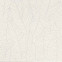Плитка Aplomb White Leaf 50x120 (A6FC)  