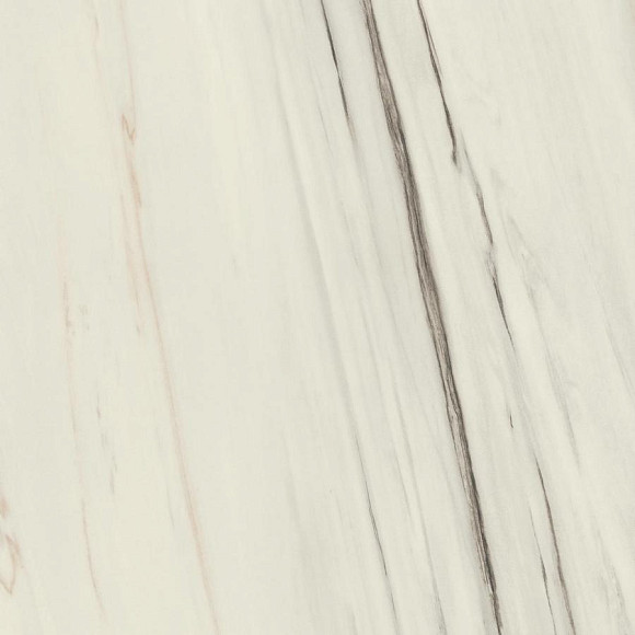 Керамогранит Marvel Bianco Fantastico 120x120 Matt (A203) 