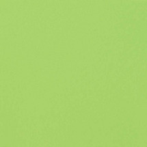 Greencolors Lime 20x20 (2I0O) Керамогранит