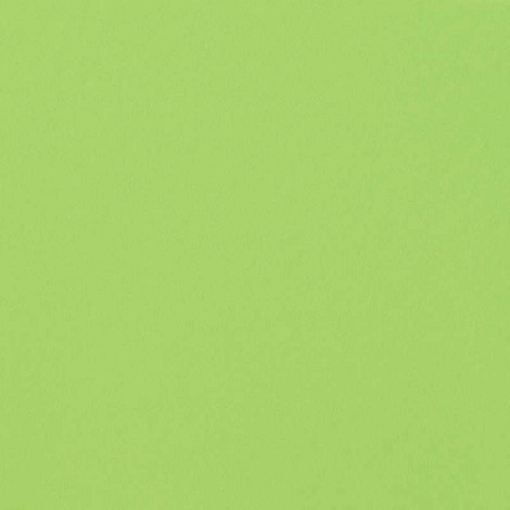 Greencolors Lime 20x20 (2I0O) Керамогранит