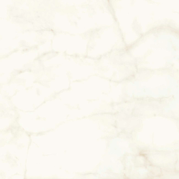 Керамогранит Marvel Calacatta Delicato 120x120 Matt (A4Q4) 