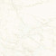 Керамогранит Marvel Calacatta Delicato 120x120 Matt (A4Q4) 