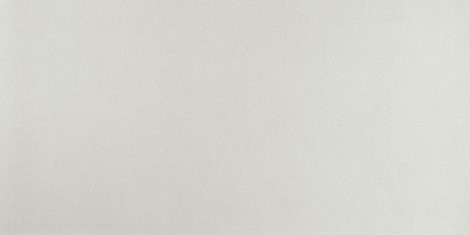 Arkshade White 120x240 (AUGX) Керамогранит