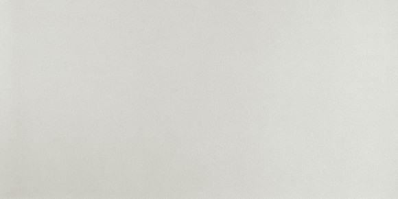 Arkshade White 120x240 (AUGX) Керамогранит