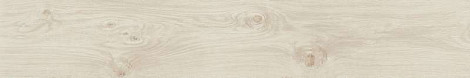 Frame Magnolia 20x120 Ret (610010001670) Керамогранит