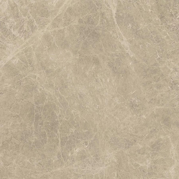 Керамогранит Marvel Elegant Sable 120x120 Lappato (AENK) 
