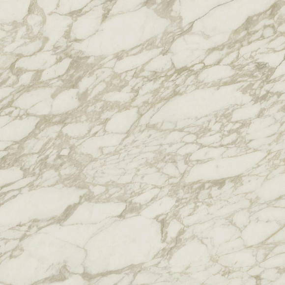 Керамогранит Marvel Royal Calacatta 120x120 Lappato (AENP) 
