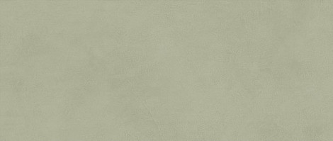 Плитка Boost Expression Olive 50x120 